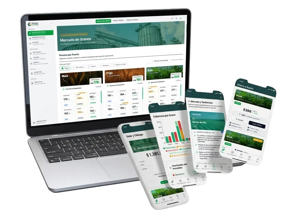 Ecosistema Digital Directo a Puerto - Plataforma Web y Aplicación Móvil
